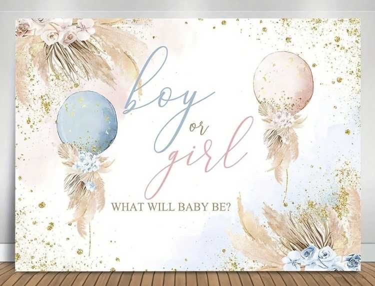 Set baloane si decor Gender Reveal
