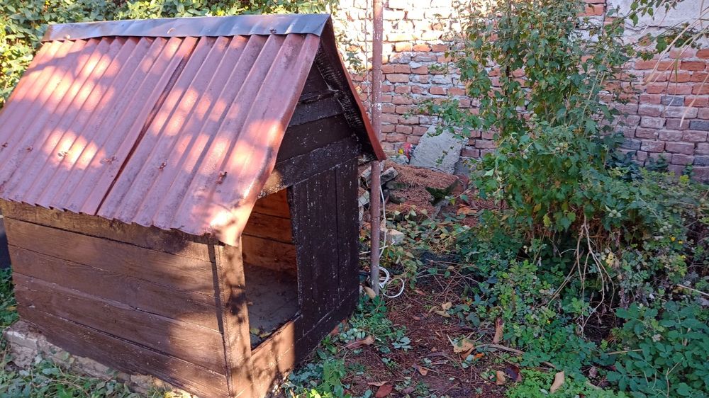 Vând căsuță pentru câine talie mare