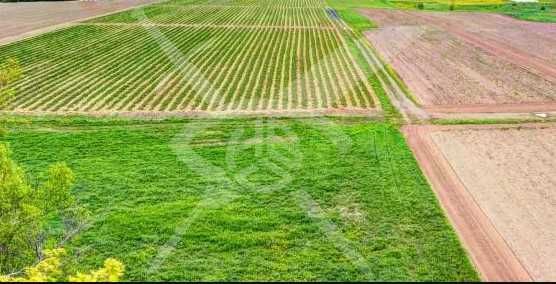 Парцел Съединение 74631