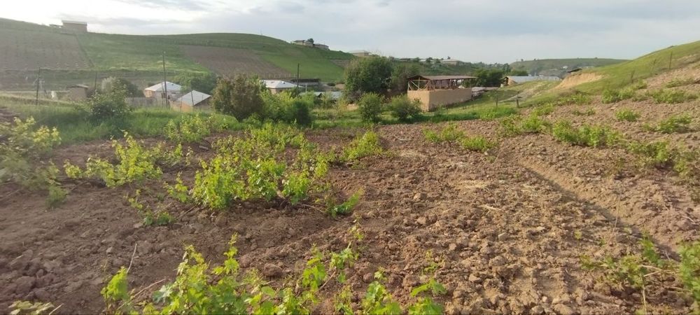 Yer sotiladi Parkent tumanida