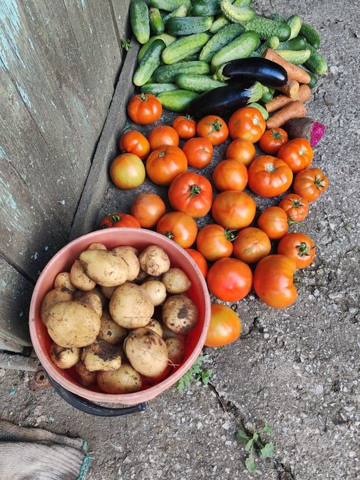 Продам дачу с домиком в районе Кривое озеро