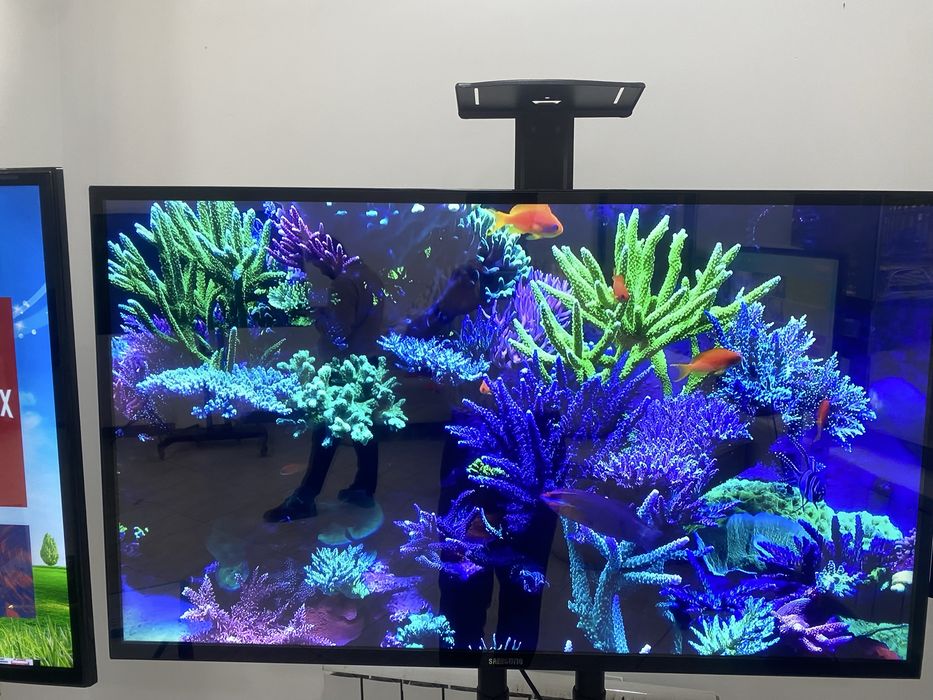 Қыздарды гинекологиялық тексеру (видео онлайн)