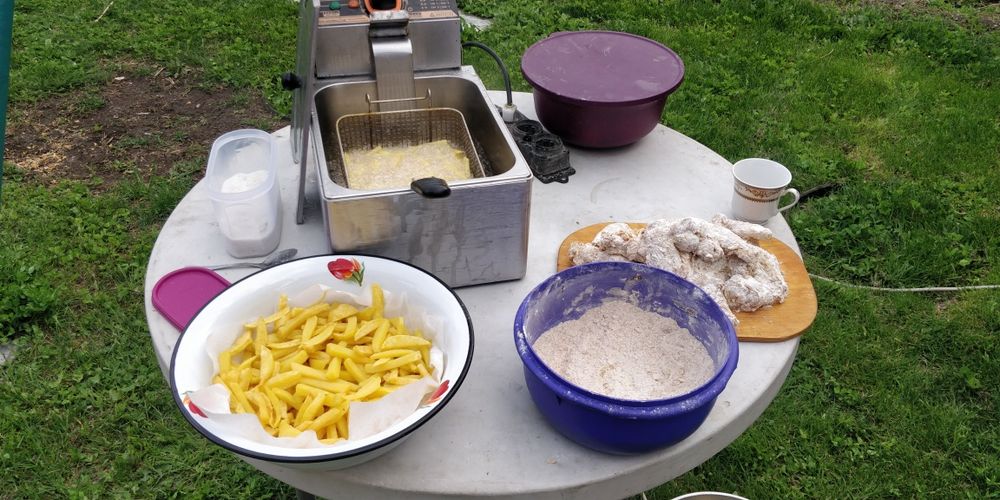 Фрютильница для приготовления фри