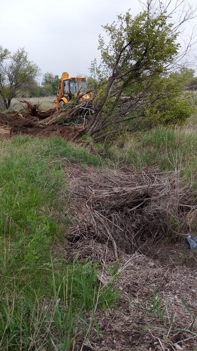 Дрова без платна агаш