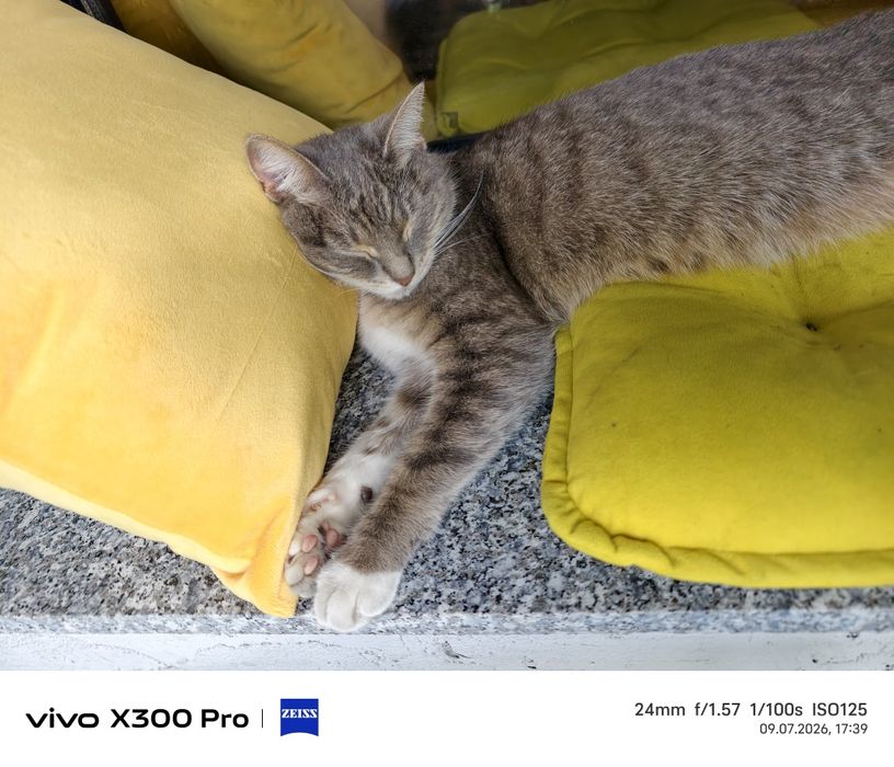 Vivo x300 pro 16 512 EAC обмен