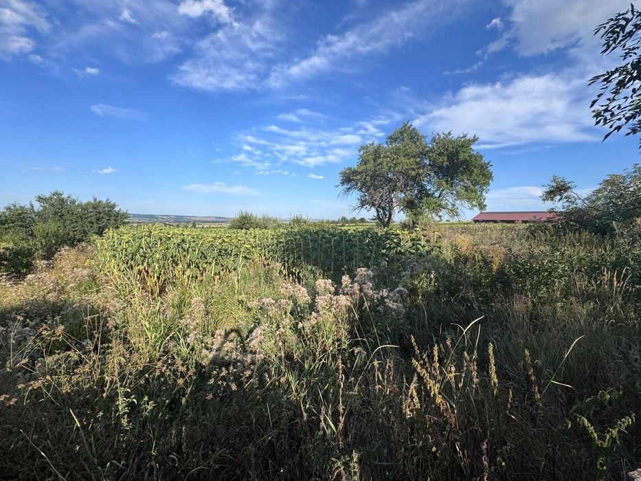 Vanzare teren intravilan 8,600 mp (direct de la proprietar, comision 0%), jud SV