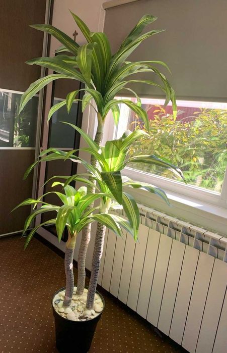 Plantă artificială decorativă Dracaena 1,75m
