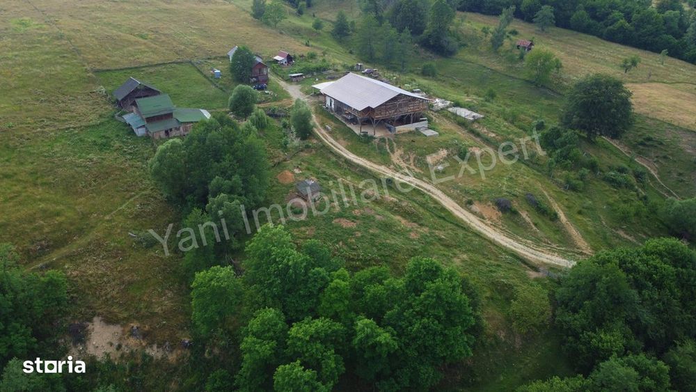 Fermă de animale + teren de vânzare în comuna Bughea de Jos, Argeș.