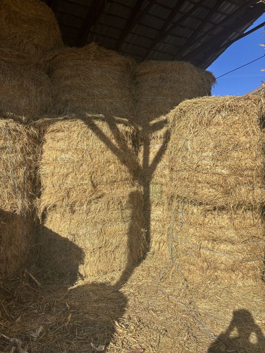 Vand baloti de lucerna