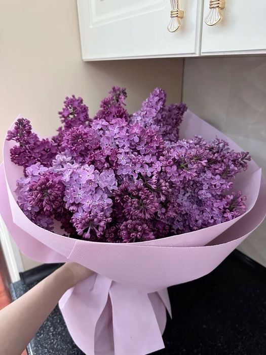 Сирень букет свежий