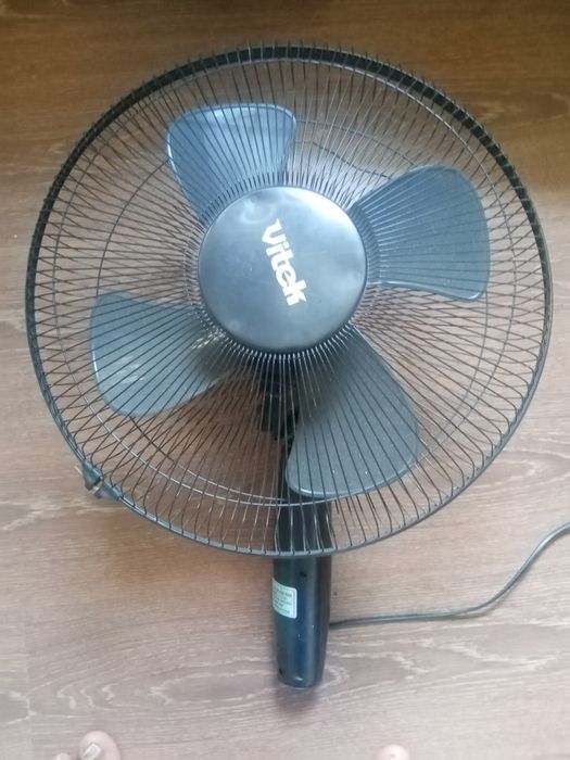 Vitelator sotiladi