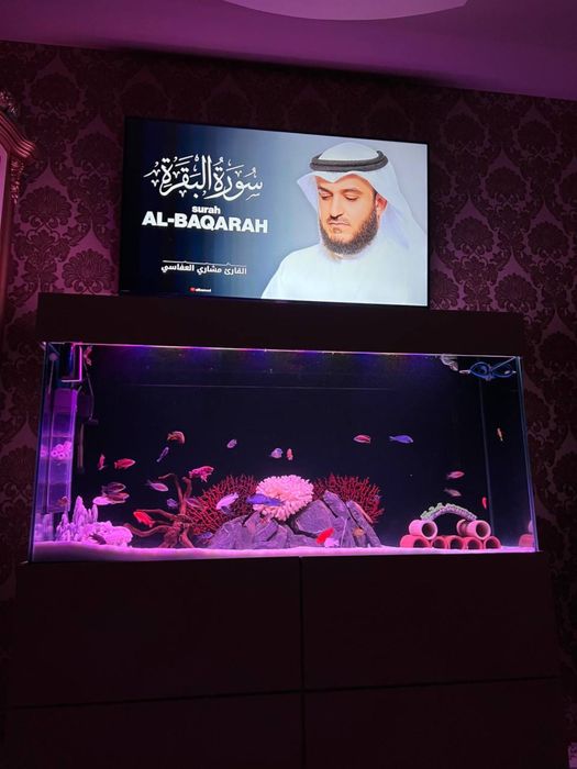 Аквариум сотилади