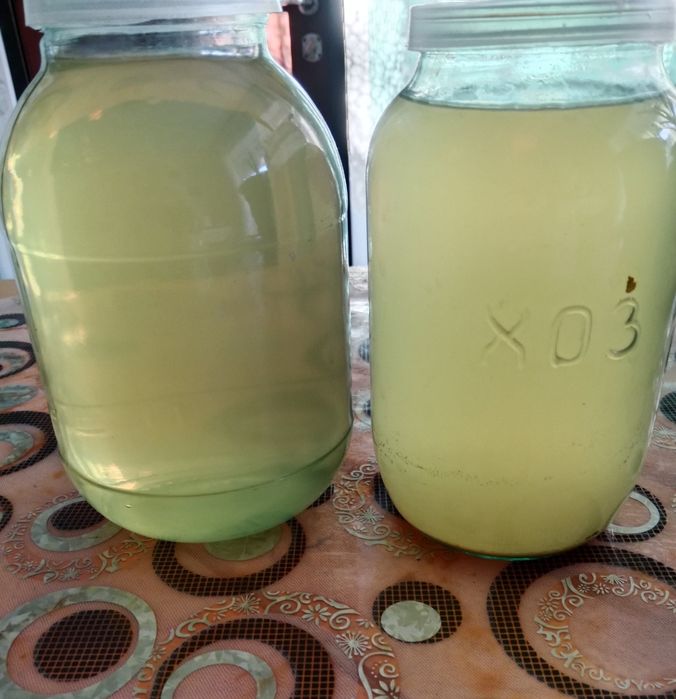 Домашний яблочный уксус