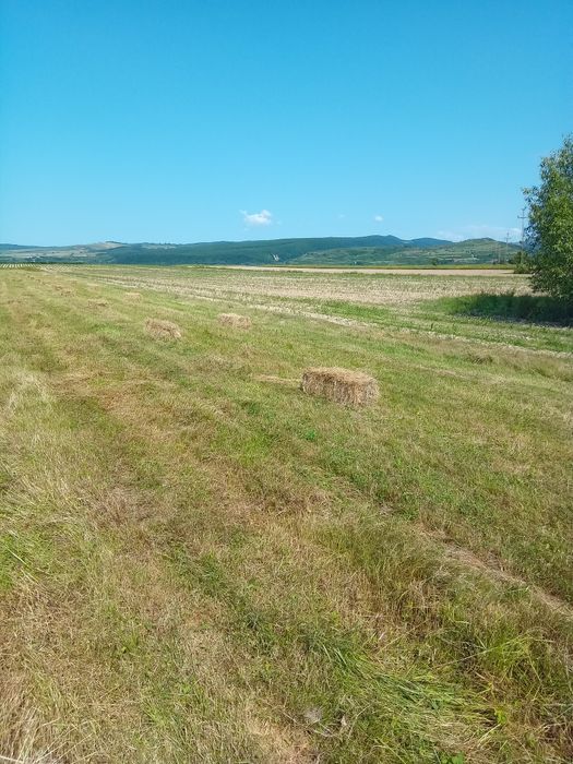 Baloti de fan coasa 1 si coasa 2