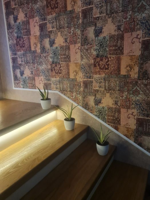 Алое Вера растения!