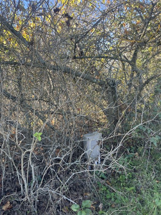 Продава се Парцел в Варна, Базар Левски - 347 кв.м за 41 €/кв.м - Снимка #1