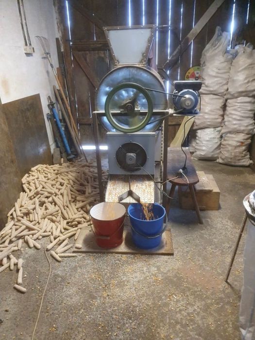 Vând grăunțe bob sticlos