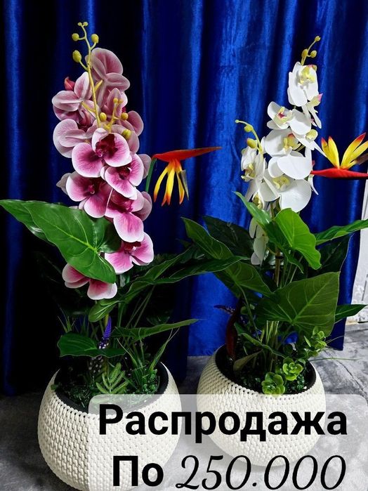 Суний гуллар ва дарахтлар муддатли ту́ловга