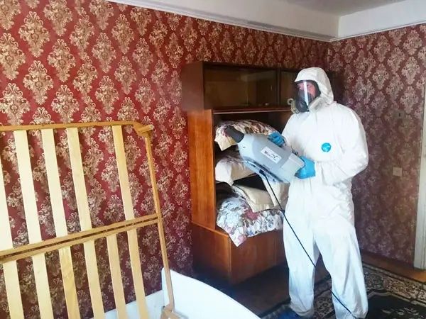 Уничтожения клопов и тараканов