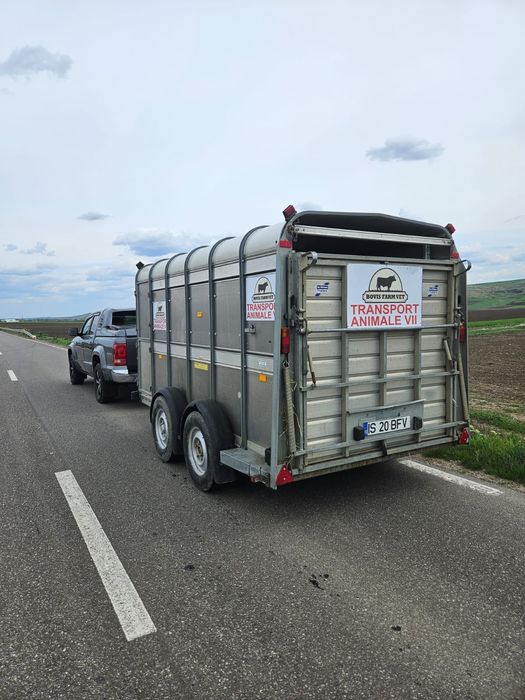 Transport Animale Vii