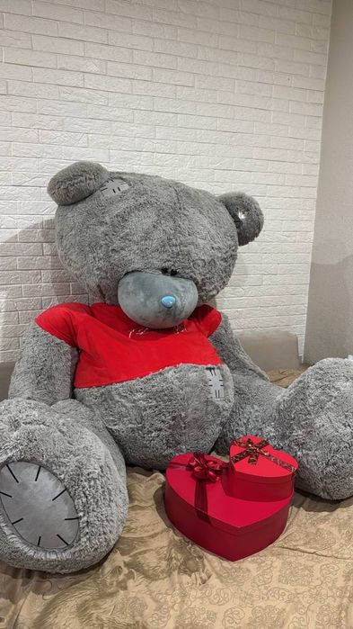 teddy sotiladi kelishamiz