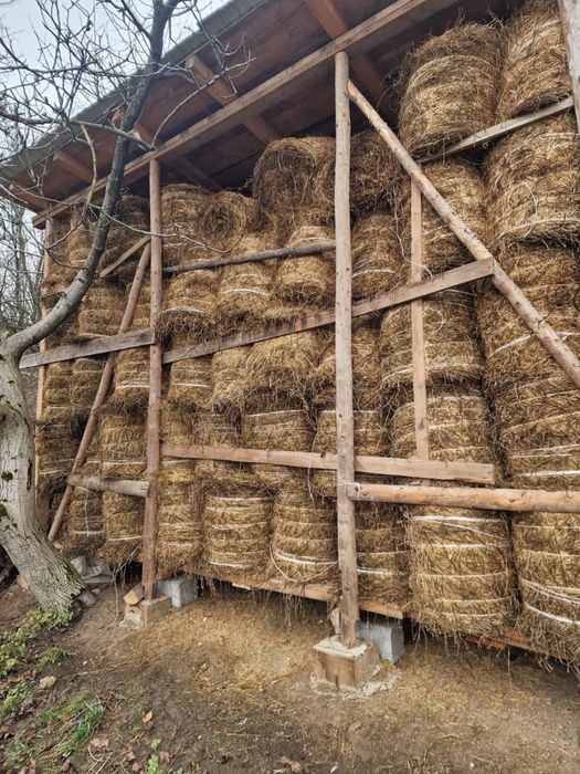 Vand baloate 120x120 si 60x70