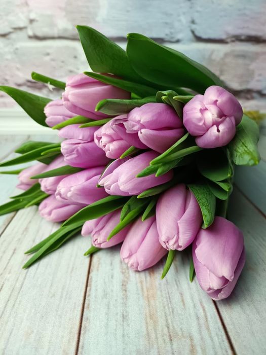 Оптом тюльпаны Беларусь