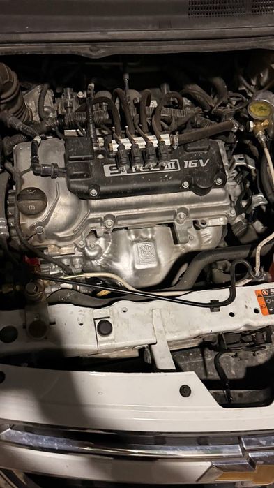 Oq kobalt, holati zo'r, bir kishi mingan