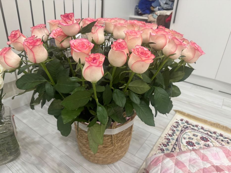 Срочно продам 20мың свежий