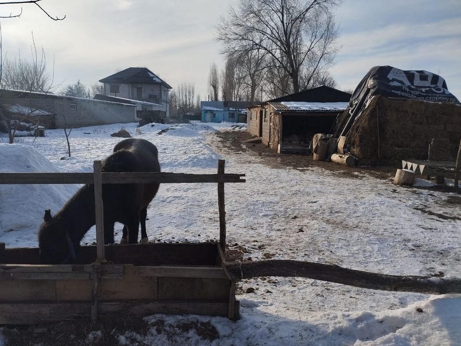 20 соттық үй сатылады