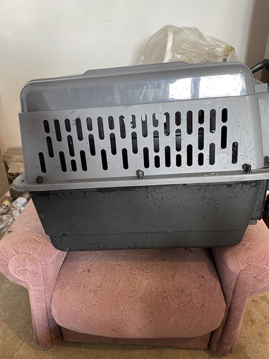 Контейнер для перевозки животных