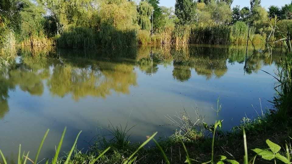 Vand balta pescuit jud Sibiu