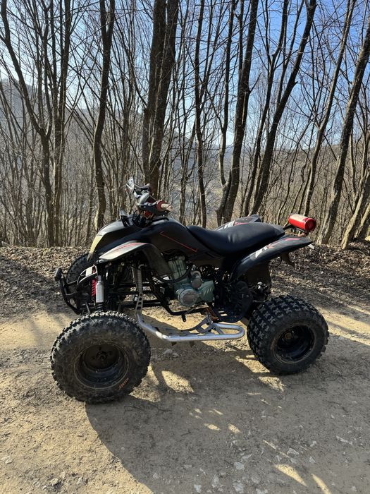Vand atv bashan 250