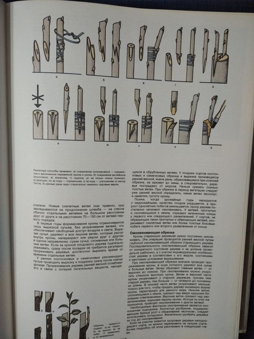 Энциклопедия садовода