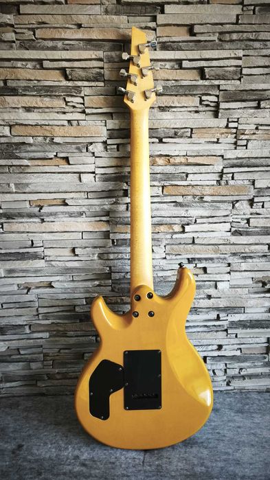 Chitara electrica Made in Japan Starfield - Garantie