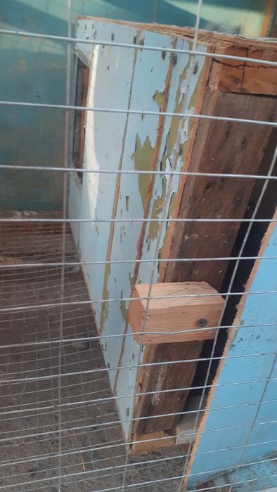 Куен клетка сотилади срочно.