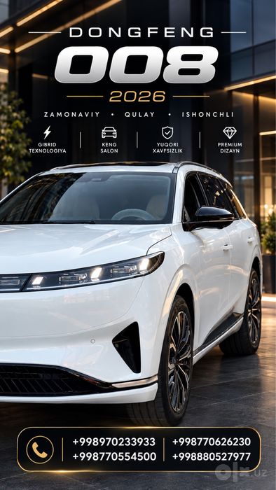 Dong feng 008 EV MAX 100%elektr