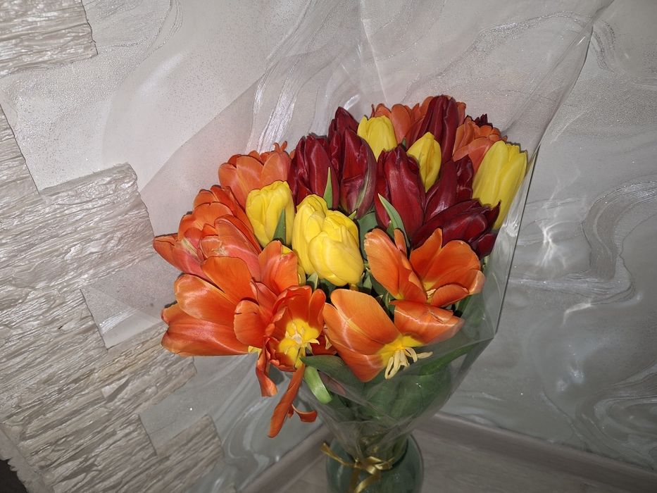 Цветы тюльпаны тюльпаны