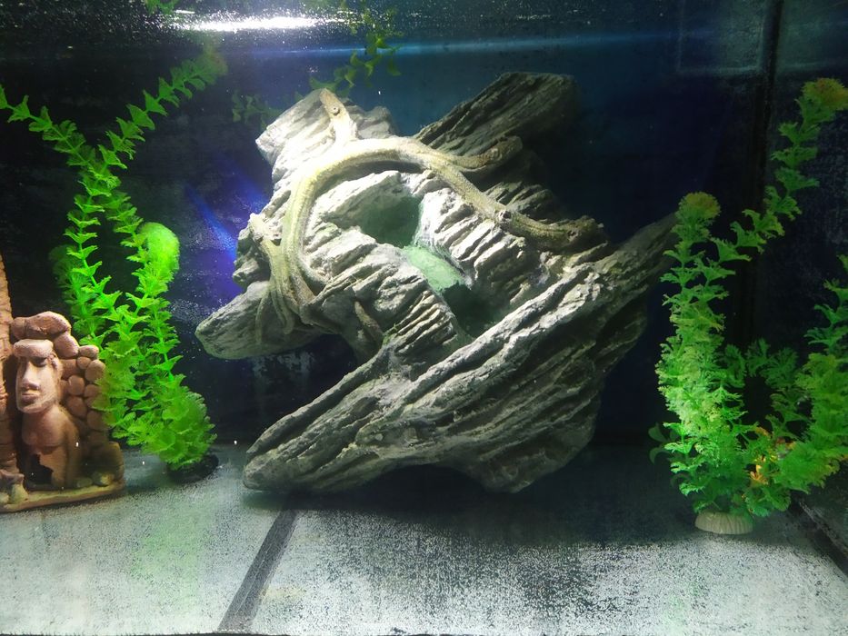 Декор для аквариума. Недорогие аквариумы.