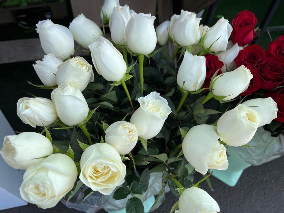 Тюльпаны 8 марта