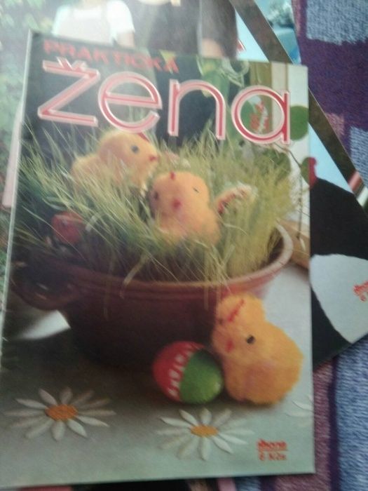 списания Практична жена