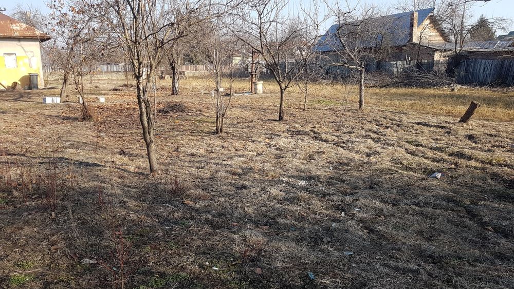 Curte de vanzare comuna Crevedia,sat Cocani,Dambovita