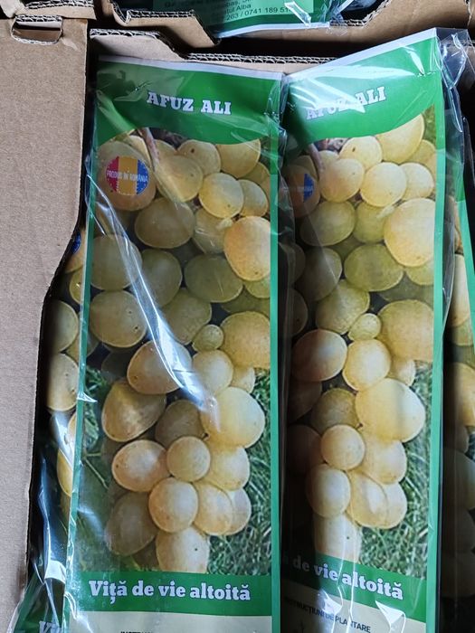 Vita de vie ambalata