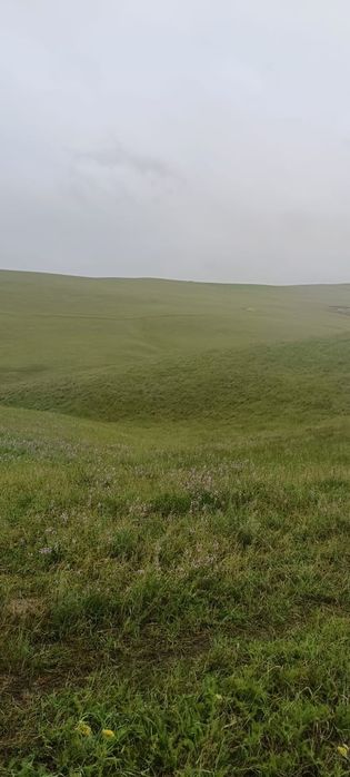 Земля 12 га в узынагаш