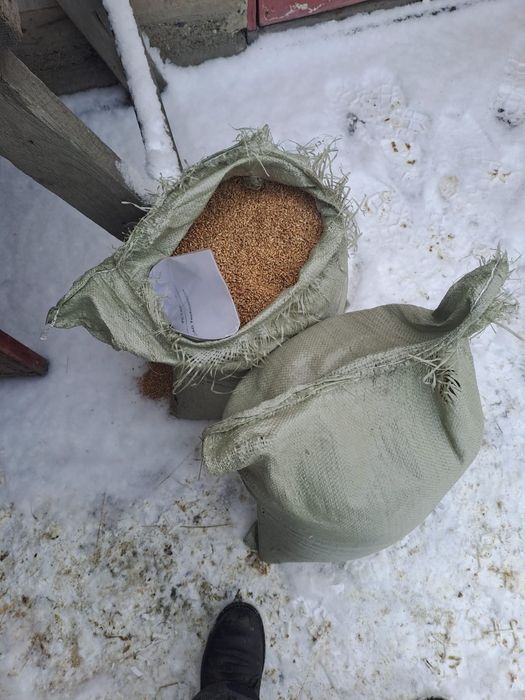 Корма  для сельхозживотных