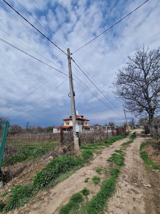 Лозе в Добрич...