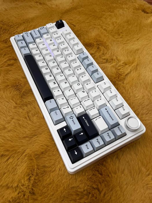 Tastatura gaming mecanica Aula 75