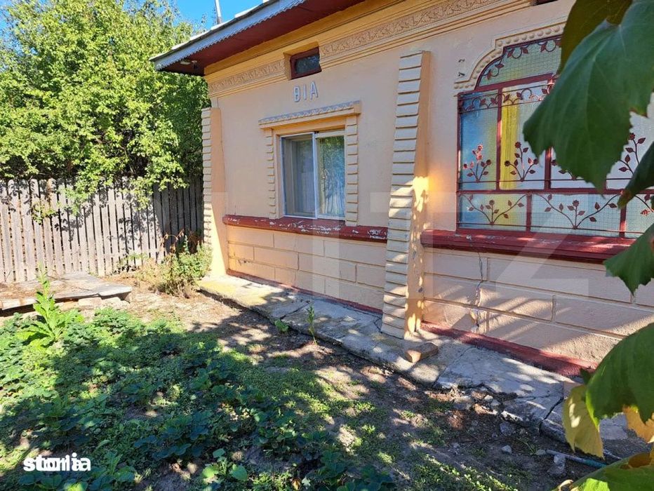 Casa cu gospodarie, livada si gradina – Costestii din Vale