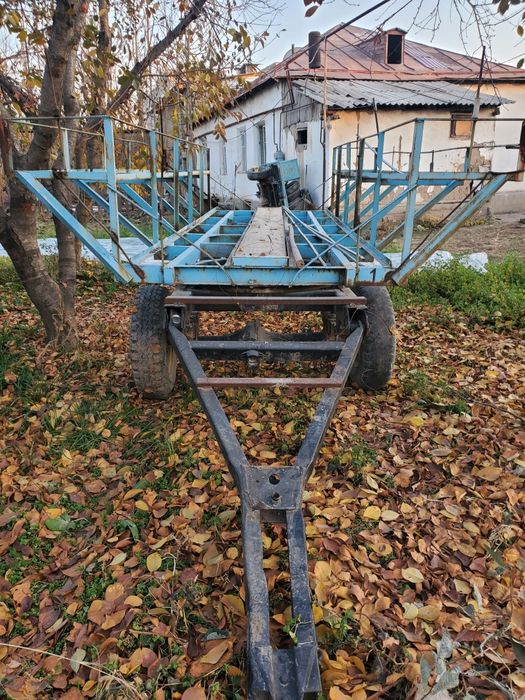 Asalari prisepi sotiladi