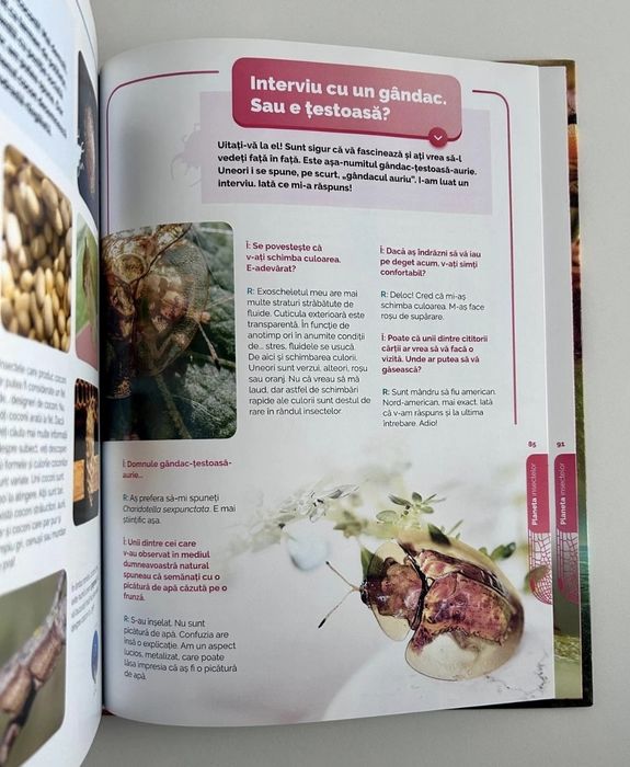 Atlas despre insecte